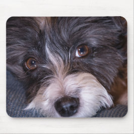 Mousepad 5402-Feliz Anna, o cão Papijack