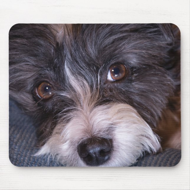 Mousepad 5402-Feliz Anna, o cão Papijack (Frente)