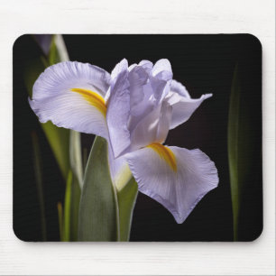 Mousepad 7659-2-Roxo Íris