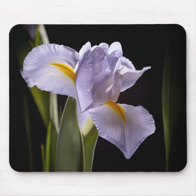 Mousepad 7659-2-Roxo Íris (Frente)