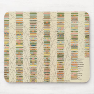 Mousepad 7 Classificação, cidades 17901890