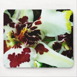 Mousepad 9