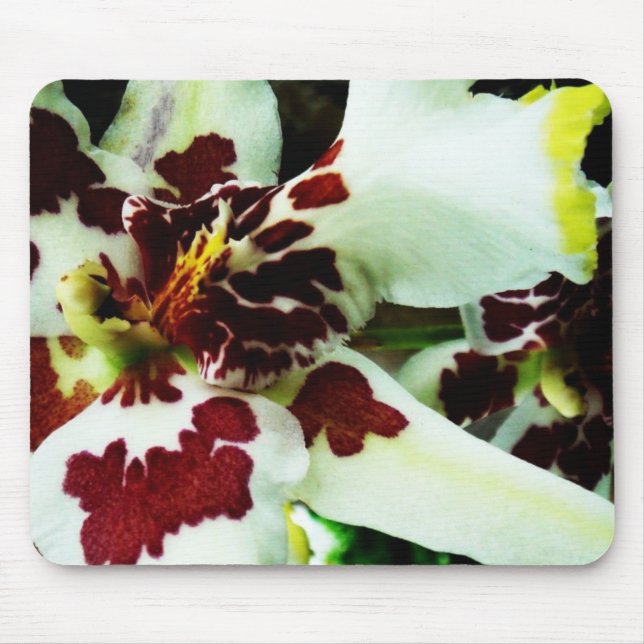 Mousepad 9 (Frente)