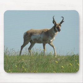 Mousepad A10 Antilope Pronghorn e Flores Silvestres