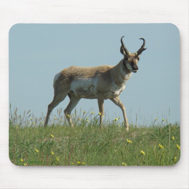 Mousepad A10 Antilope Pronghorn e Flores Silvestres (Frente)