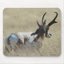 Mousepad A14 Pronghorn Antelope Sunshine Buck