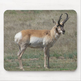 Mousepad A15 Pronghorn Antelope Rude Buck