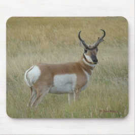 Mousepad A1 Pronghorn Antelope Big Buck