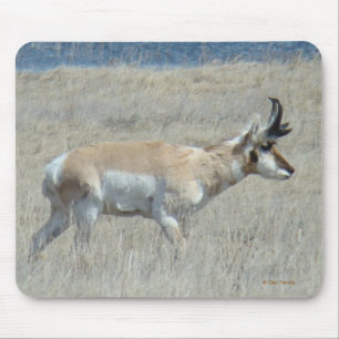 Mousepad A25 Antelope Buck