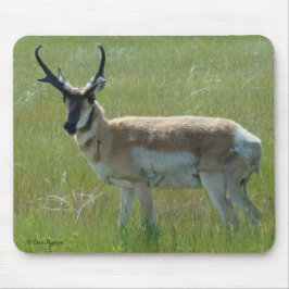 Mousepad A36 Pronghorn Antelope Buck