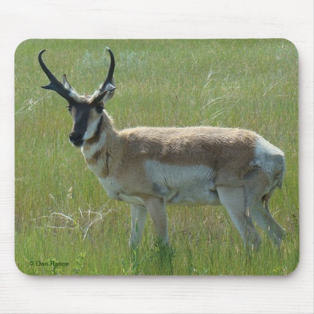 Mousepad A36 Pronghorn Antelope Buck (Frente)