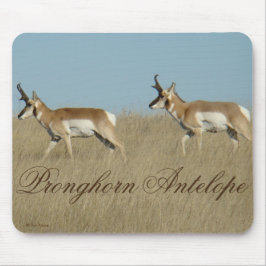Mousepad A45 Pronghorn Antelope Young Bucks