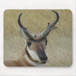 Mousepad A5 Pronghorn Antelope