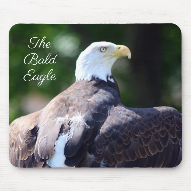 Mousepad A Águia Americana (Frente)