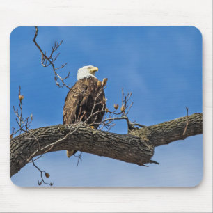 Mousepad A Águia Nobre Bald