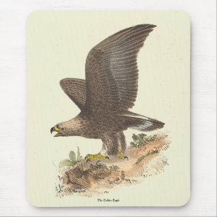 Mousepad A Águia Ouro (Aquila chrysaetos) NY Imagem do Páss