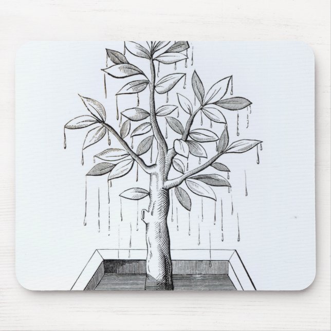 Mousepad A árvore de vida, ou a árvore Weeping (Frente)
