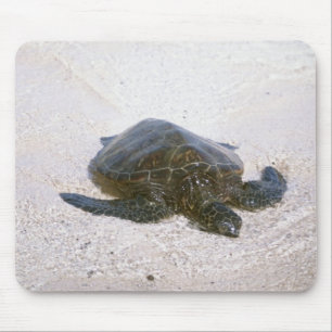 Mousepad A borda da água