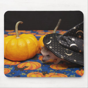 Mousepad A bruxa a mais pequena da conversão