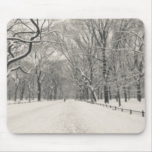 Mousepad A caminhada do poeta - inverno do Central Park