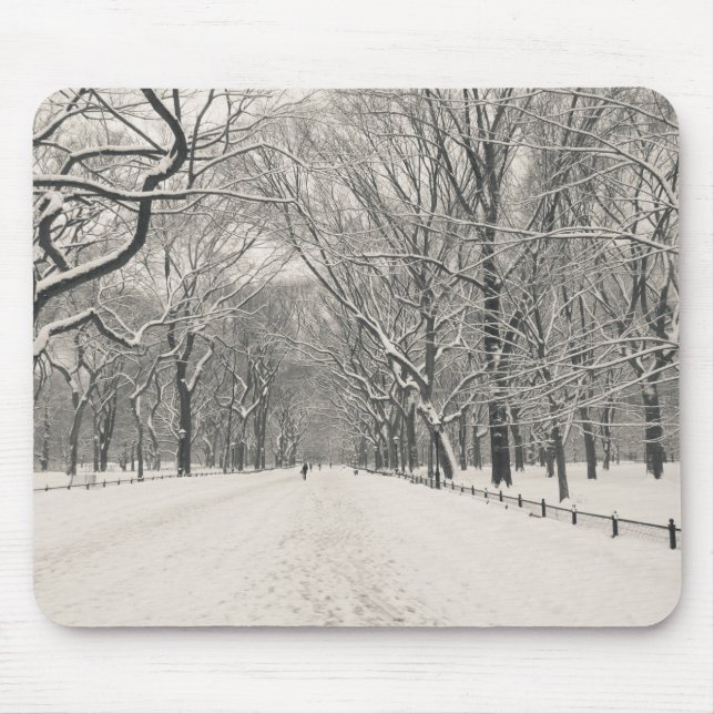 Mousepad A caminhada do poeta - inverno do Central Park (Frente)
