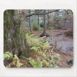 Mousepad A cena do outono num jardim botânico.