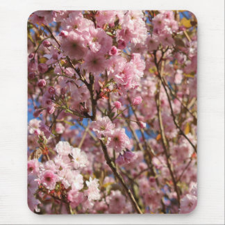 Mousepad A cor Primavera brilhante da cereja floresce