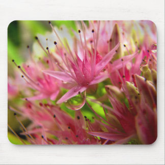 Mousepad A coroa feericamente