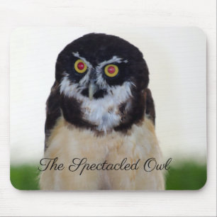 Mousepad A Coruja Espetacada