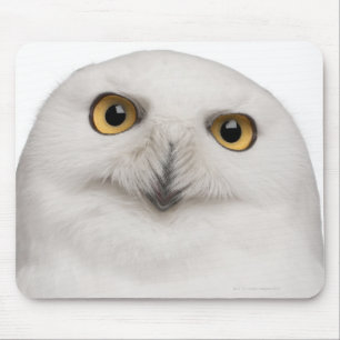 Mousepad a coruja nevado masculina (scandiacus do bubão)