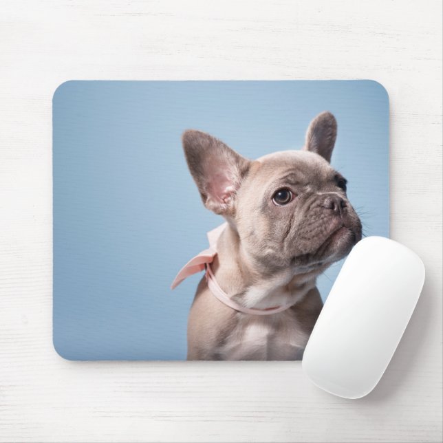 Mousepad A Cute French Bulldog (Com mouse)