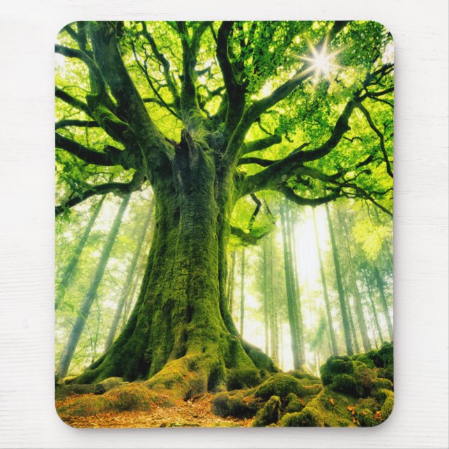 Mousepad A faia de Ponthus (Frente)