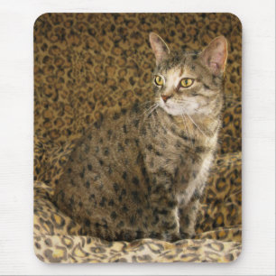 Mousepad A Ficar Selvagem ;-)