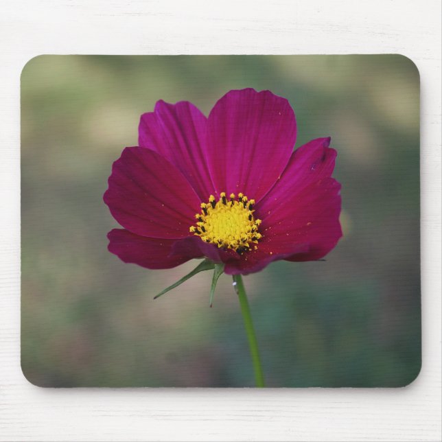 Mousepad A flor perfeita da irmã (Frente)