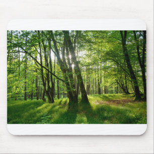 Mousepad A floresta na primavera