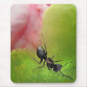 Mousepad A Formiga e o Peônio