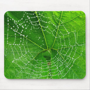 Mousepad A foto original da Web de aranhas projetou o