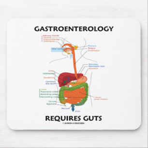 Mousepad A gastroenterologia exige a entranhas (o sistema