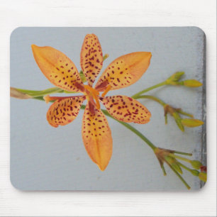 Mousepad A Iris, avistada por laranja, chamava-se Lily Blac