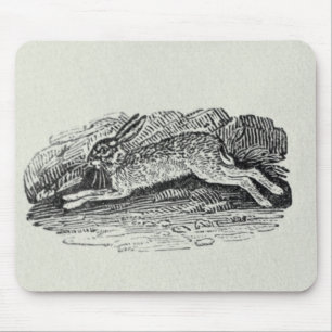 Mousepad A lebre