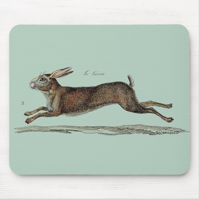Mousepad A lebre de competência na páscoa (Frente)