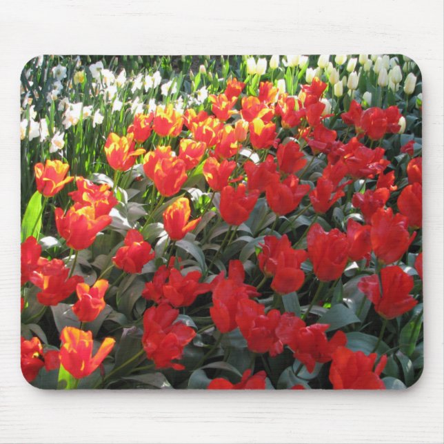 Mousepad A língua a mais verdadeira do amor (Frente)