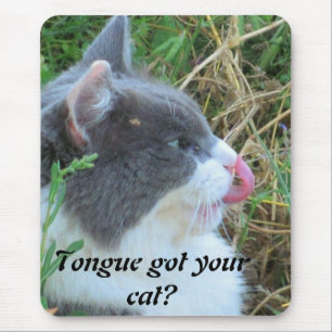 Mousepad A língua tem o seu gato?