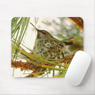 Mousepad A mãe do beija-flor da Anna no Ninho