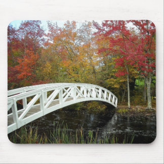 Mousepad A maioria fotografaram o ponto