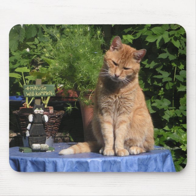 Mousepad A Mancha, Gatos, Animais (Frente)