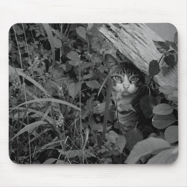 Mousepad A moradia de um andarilho (Frente)