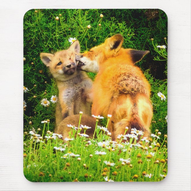 Mousepad A Mother’s Kiss Wildlife Nature Art Print (Frente)