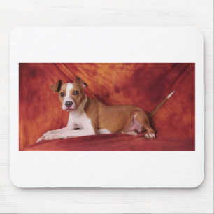 Mousepad A pose perfeita do pitbull