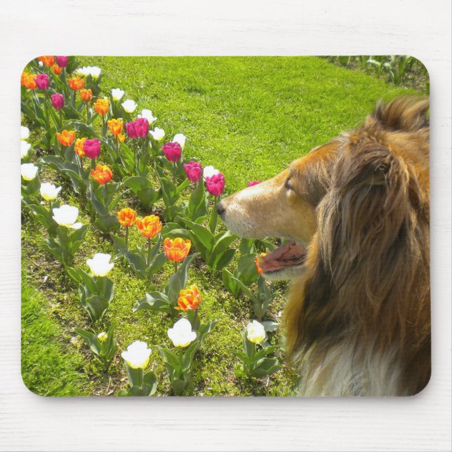 Mousepad A proteção do mouse Collie N More Tulips (Frente)